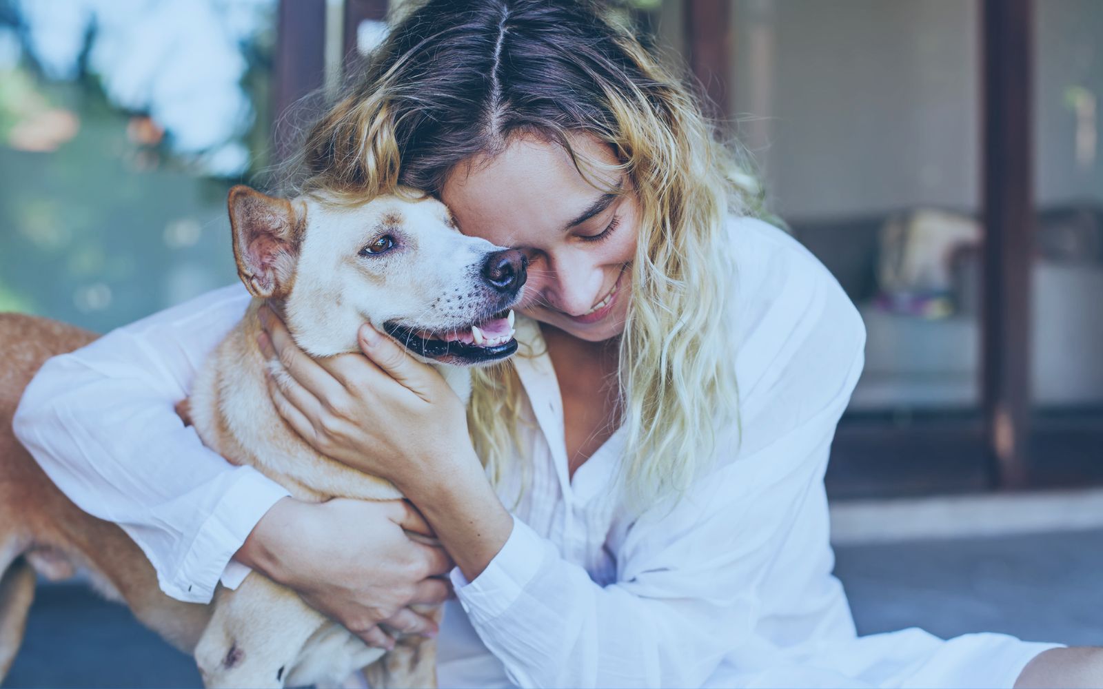 Is Pet Insurance Right for Me? What Every Pet Owner Should Know 
